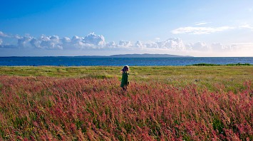 Tourism in Skåne