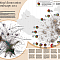 China's Map of Innovation